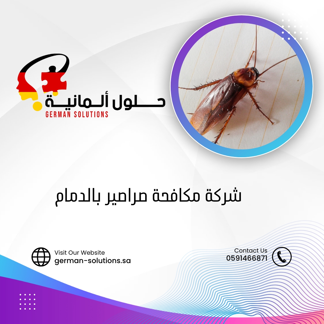 شركة مكافحة صراصير بالدمام  title=